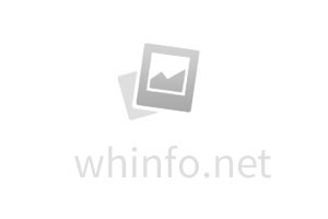 熱搜第一！一夜爆火！炒到10萬元